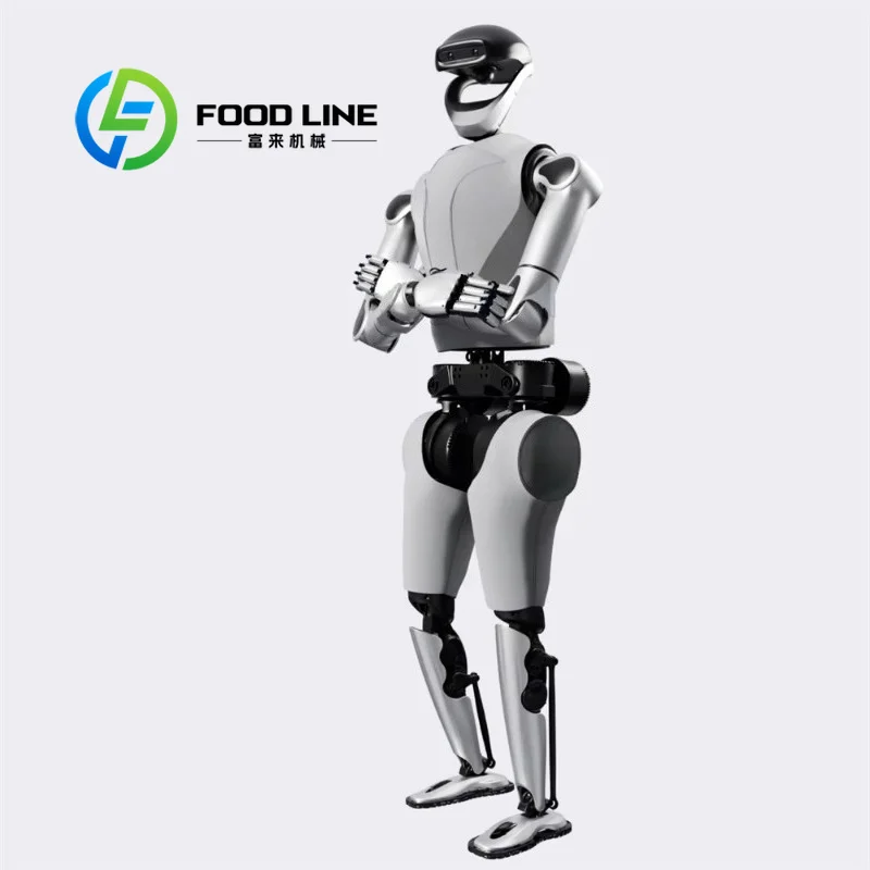 Entertainment Humanoid Robot Sings, Dances And Plays Interactive Mini-Games To Enrich Visitor Experience In Amusement Parks