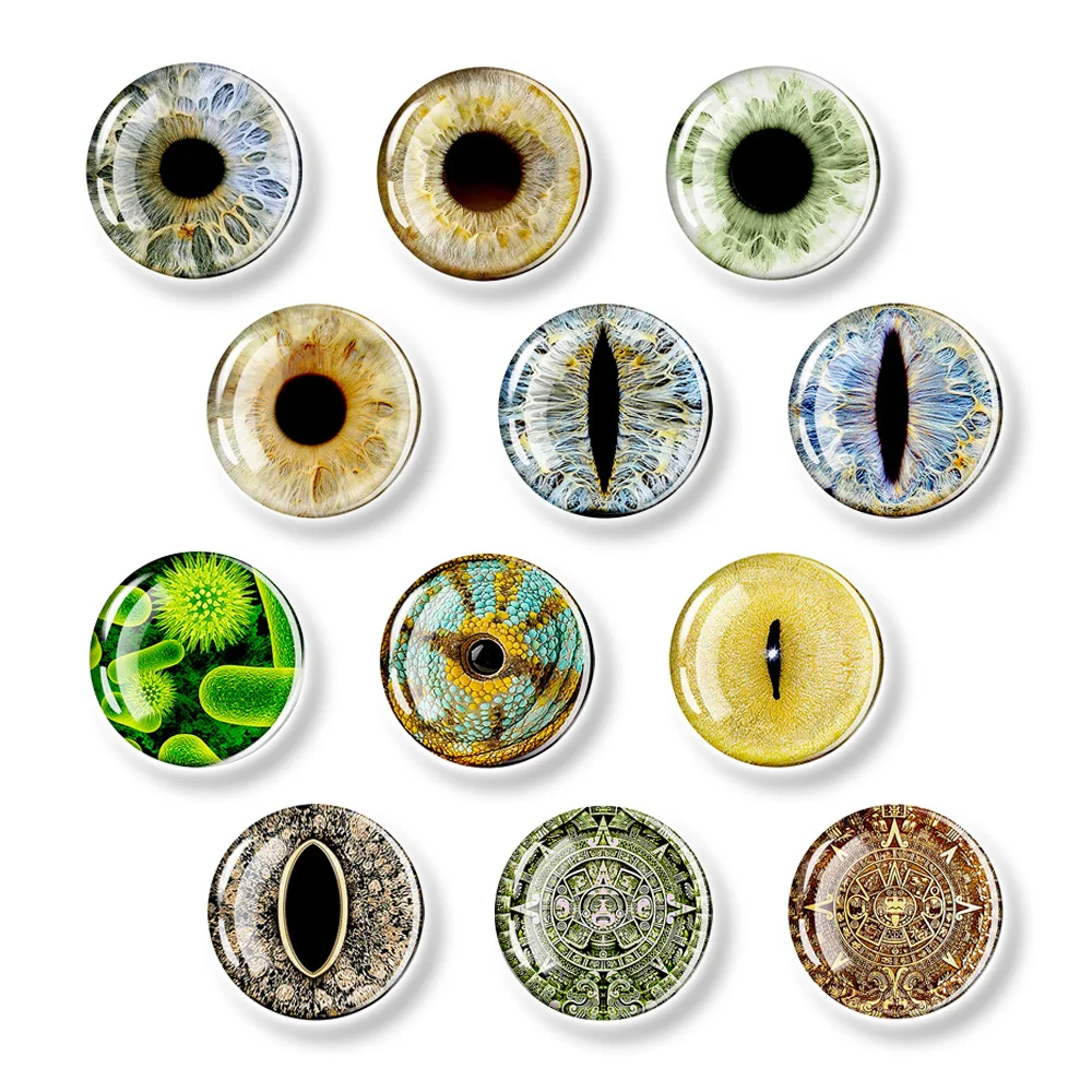 

Devil Eyes Stickers Eyes for Animals Fridge Magnet 30mm Glass Decorationscrystal Strong Refrigerator Magnets Decorations
