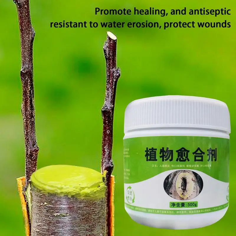 Tree Grafting Paste Tree Wound Bonsai Cut Paste Smear Agent Plant Grafting Pruning Sealer With Brush Bonsai Cut Wound tree wound sealer