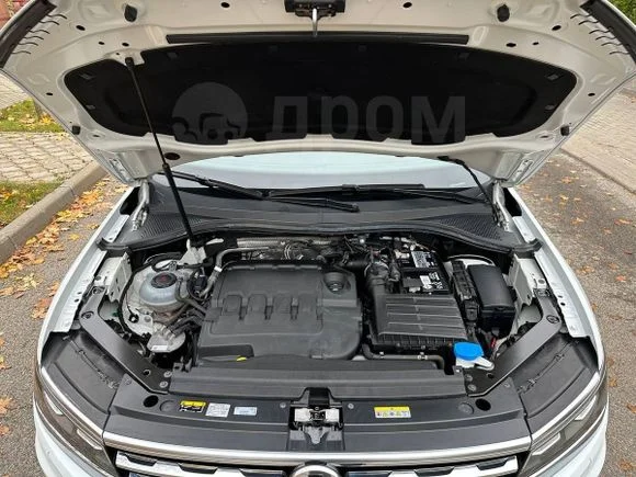 Reliable Custom Gas Struts, Replacement Lift Supports for Car Front Hood