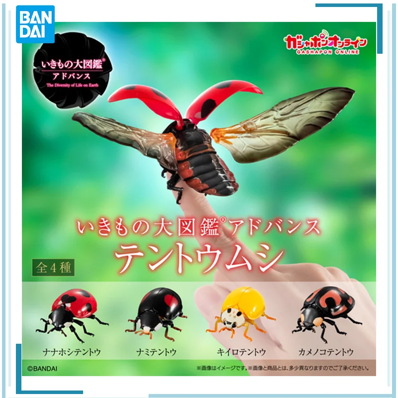 

BANDAI Simulated ladybug capsule toys MINI for Display Anime Figure Collect Model in Stock Original