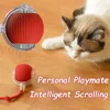 3498-191849.jpg New Cat Interactive Ball Toy Automatic Rolling Ball Faux Tail Rechargeable Smart Pet Electric Toy Dog Cat Training Imitate Mouse