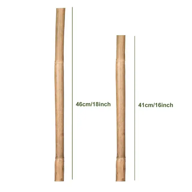 20 db Növényi Tartó Keretek Könnyen Vághatók Növény Tét Újrahasznosítható Bambusznövelő Zöldségek Zöld Botok Udvari Ellátás - Image 6