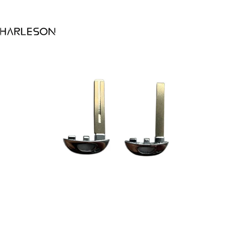 Рисунок 2 - Аварийный ключ для sain MAXUS D60