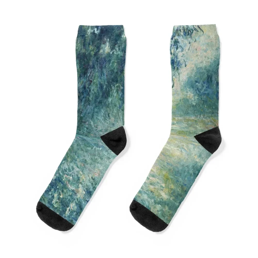 Claude Monet - Misty Morning on the Seine in Blue Socks colored Children's moving stockings Socks Man Women's