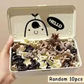 10PCS