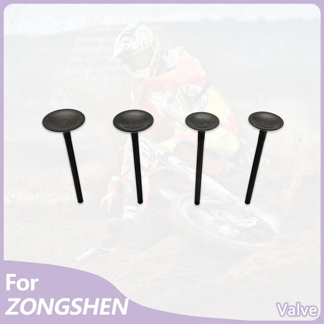 สําหรับ ZONGSHEN CB250R วาล์วเครื่องยนต์ชุดอุปกรณ์เสริมรถจักรยานยนต์ ZS172FMM-6 4 ชิ้น Off - road ไอดีไอเสียวาล์ว 1