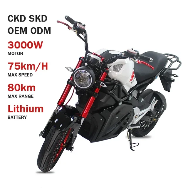 2024 EEC high speed electric motorcycle 3000W with lithium battery For Adult Men's and women's power engine electric motorcycle