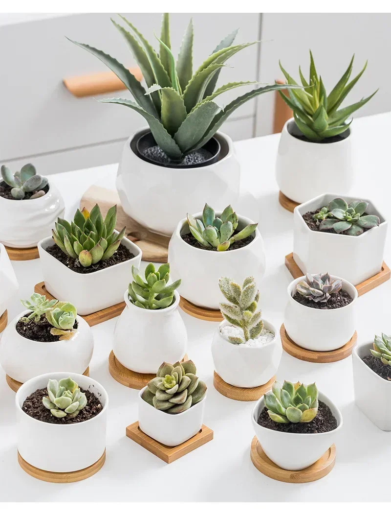 Bamboo Tray Plant Mini Plant Pot Rack Multi-meat Pot Tray Balcony Storage Kitchen Storage Bathroom Storage Round Square