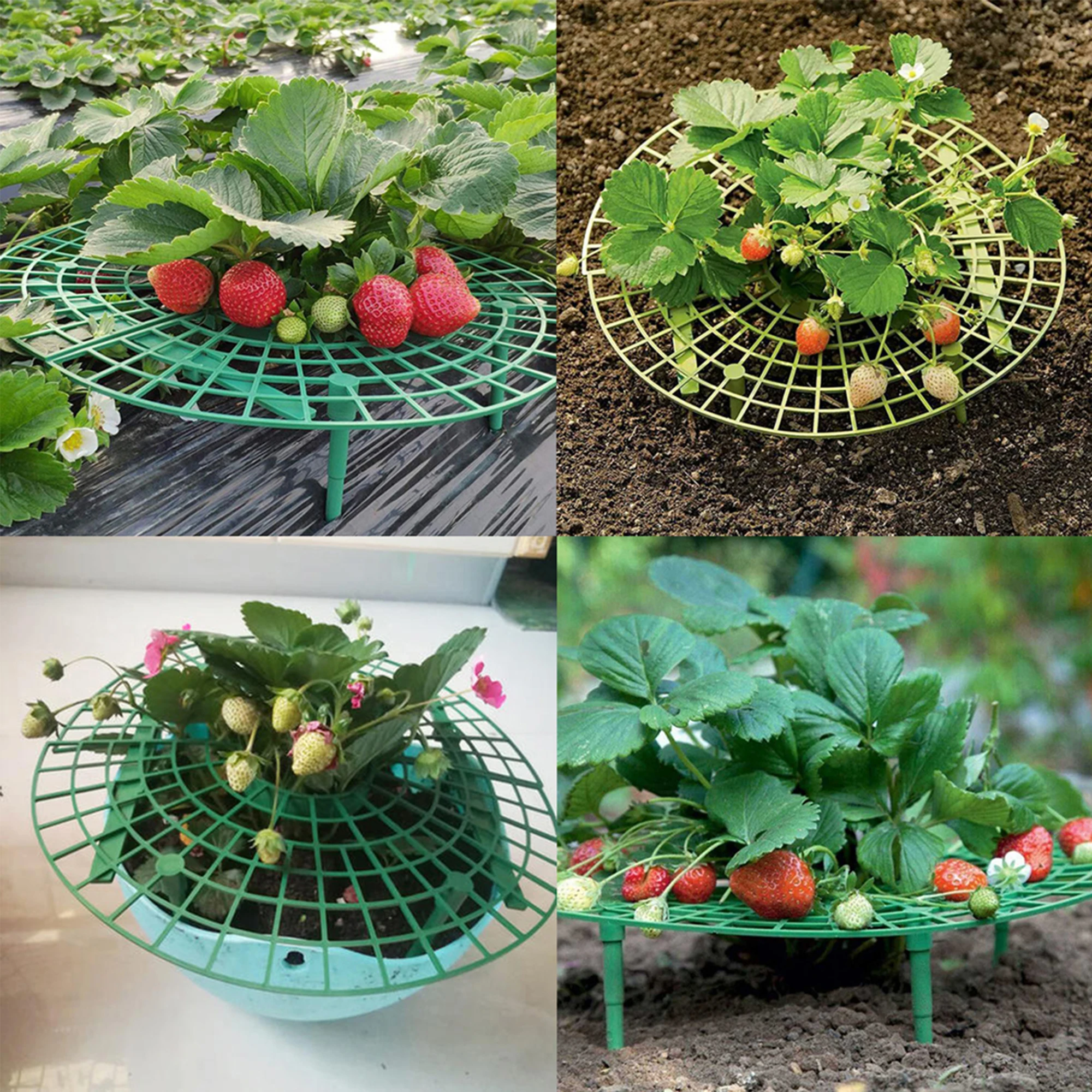 Tuteur Tomate Lot De 4 | Support Réglable 45cm | Pour Tomates, Concombres, Plantes Grimpantes | Potager