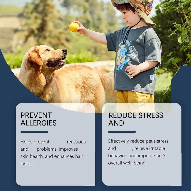 Dog Support Supplements 30ml Dog Immune Support Drops Nutrition Supplement For Dogs Natural Supplement Pet Supplies
