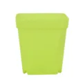 10PCS GREEN