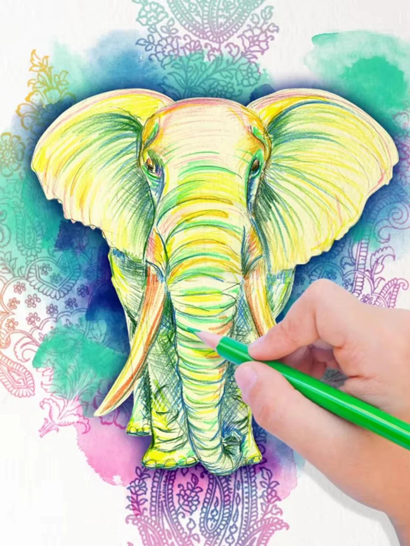 24 Colors Double Headed Pencils for  Professional Drawing Sketching and Pastel Art Premium Student School Art Supplies 5