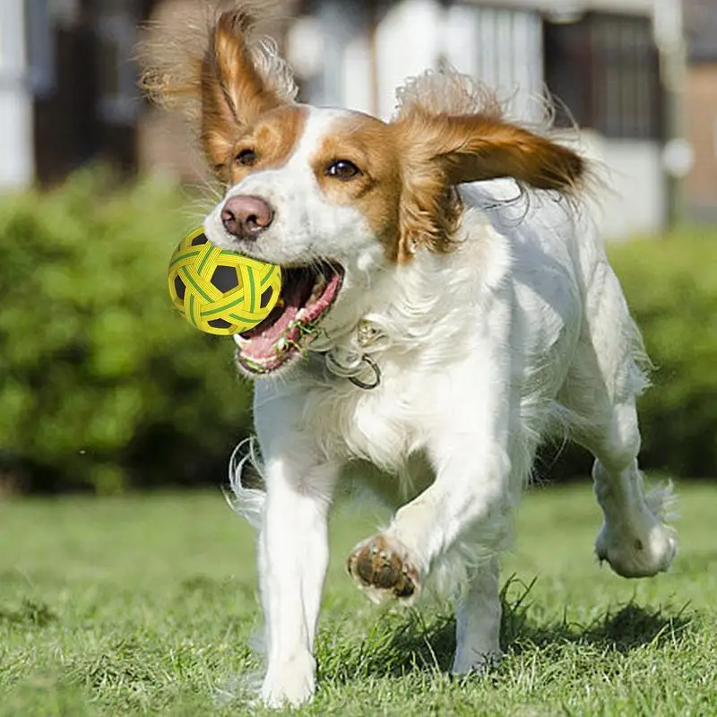 Floating Dog Ball 2 Floating Dog Ball 2