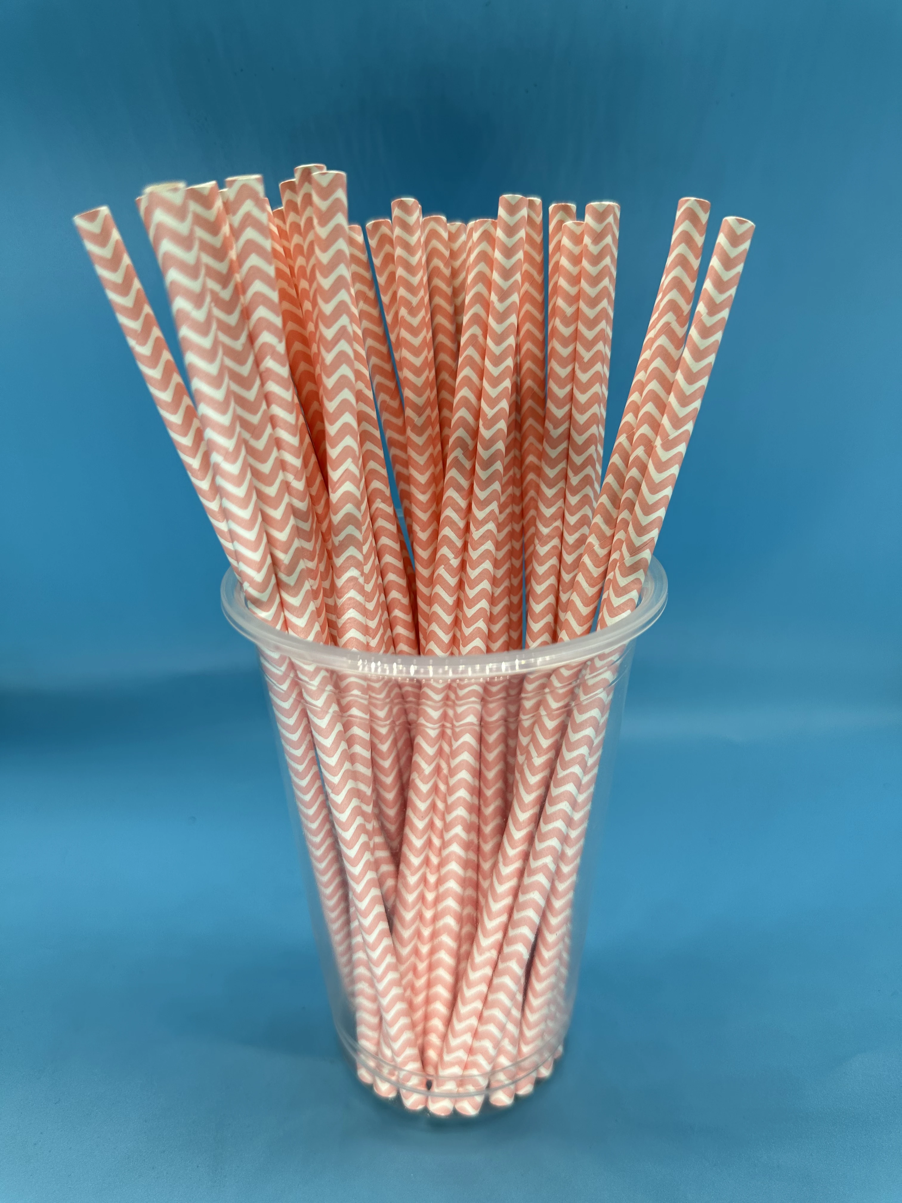 Disposable Biodegradable Straw Which for Canteen Drinking, Bar Artist Straw,Party Decor,Christmas Decor,5000Pcs,Eco Friendly