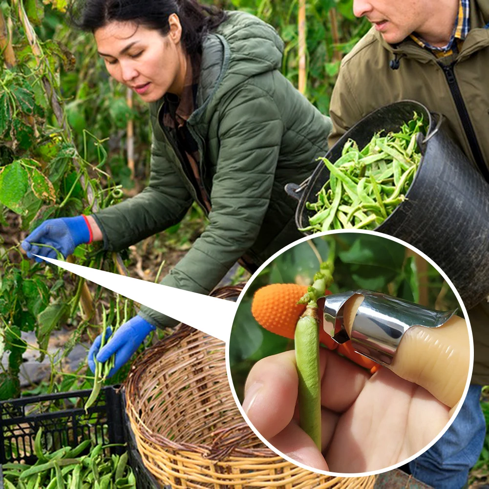 Stainless Steel Bean Picker Rings For Thumb Effortless Harvesting Bean Picker For Pepper Fruits Veggies