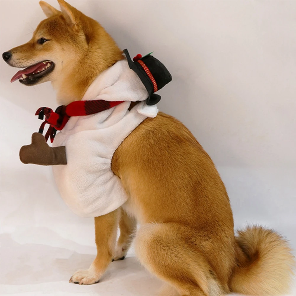 Snowman Costume on Pet