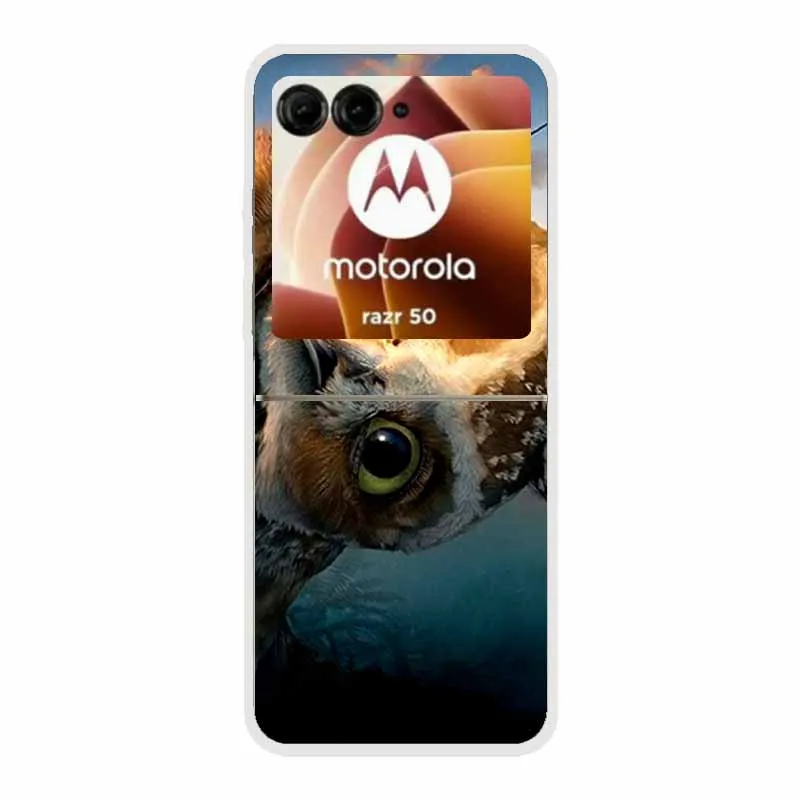 Cartoon Design Transparent Hard Plastic Back Cover Case