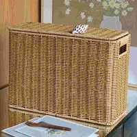 Narrow and Tall Storage Box with Lid Basket Magazine Holder Wicker Plastic Baskets Lids Child 1