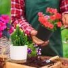 4pcs Flowerpot Removable Bottom Round Flower Pot Detachable Bottom Flower Pot Home Supplies Breathable Flower Pot 4