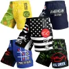 Factory Bulk Price Customized Martial Arts Wear Quick Dry Short Grappling Men Women Children BJJ Fight MMA Shorts With Rubber 2