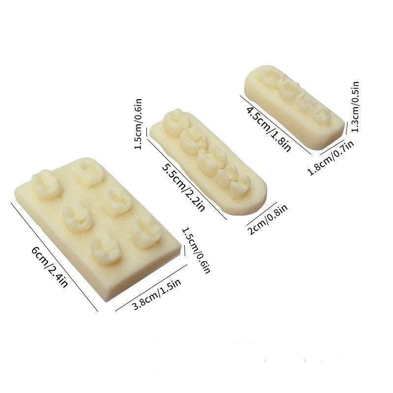 1PCS 레진 치아 형태학 연습 모델 치근관 충전 인레이 레진 모듈 치과 교육 훈련용 레진 모델 도구