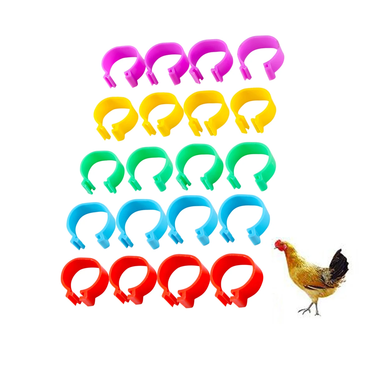 Inner Diameter 16mm Plastic Chicken Foot Ring With Open Snap Fastener For Chicken Duck Goose Multi-Color Poultry Leg Ring 50Pcs For bird foot rings,birds foot rings