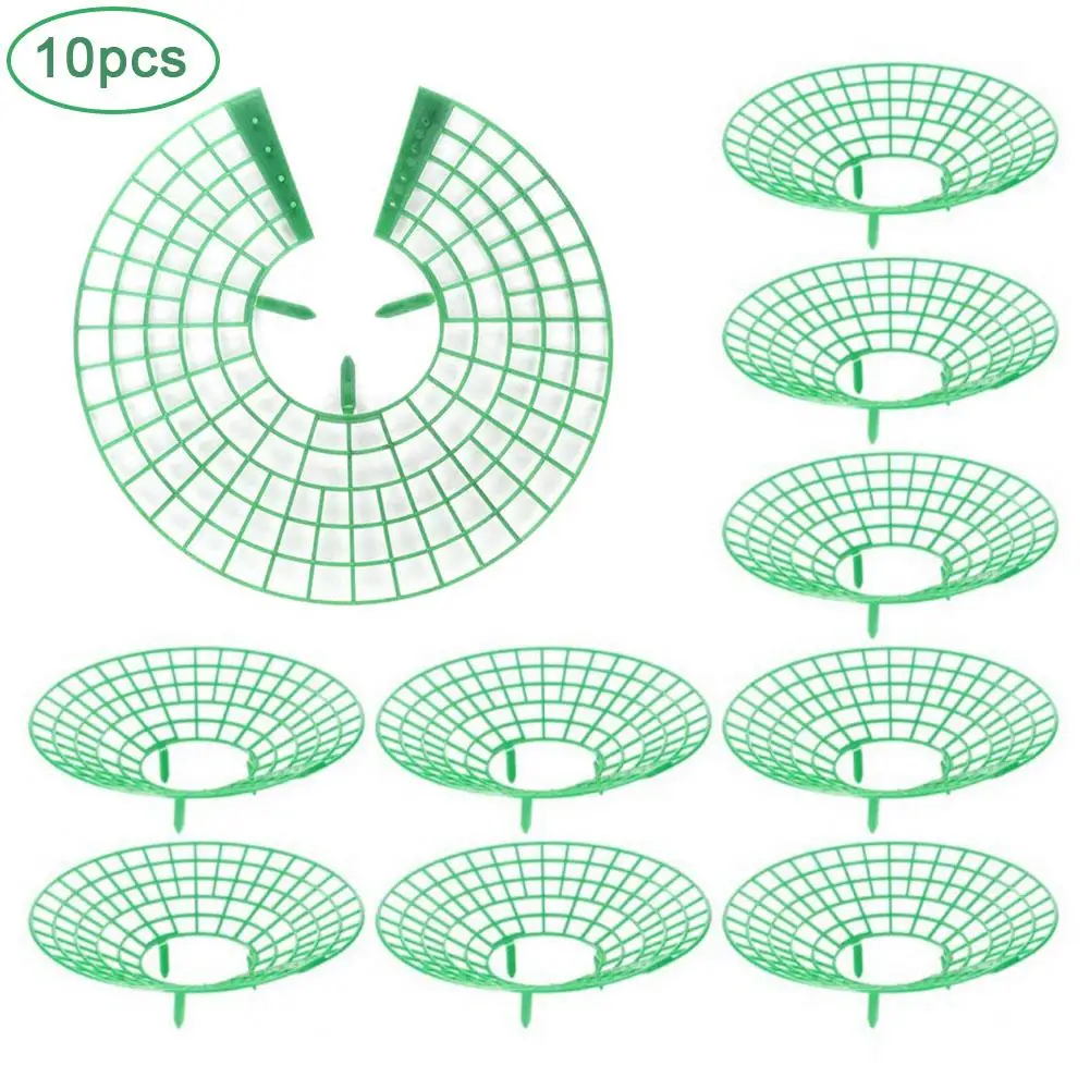 10Pcs Strawberry Plant Supports with 3 Sturdy Legs Strawberry Growing Racks Protector Frame Holder Cage From Mold Rot Dirt