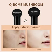 Mushroom Head Air Cushion Coverage Acne Dark Circles Foundation Moisturizing Concealer Natural Isolation Long Lasting Makeup 2