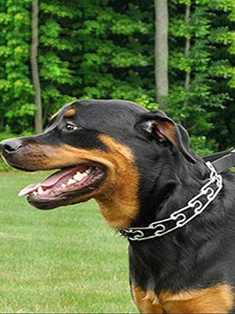 Stainless Steel Dog Prong Collar XL 28in - Rubber Tips, Adjustable, Training Collar