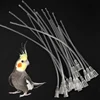 Bird Parrot Feeder Tube, Baby Bird Milk Medicine Feeding Syringe with Soft Feeding Tubes, Baby Bird Feeding Tools Kit 4
