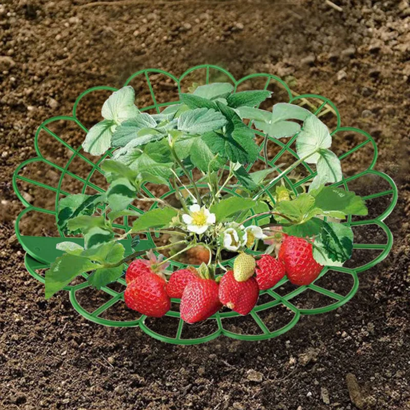 Plastic Strawberry Supports Anti-rot Strawberry Growing Racks Holder Plant Stand Home and Garden Plants Accessories