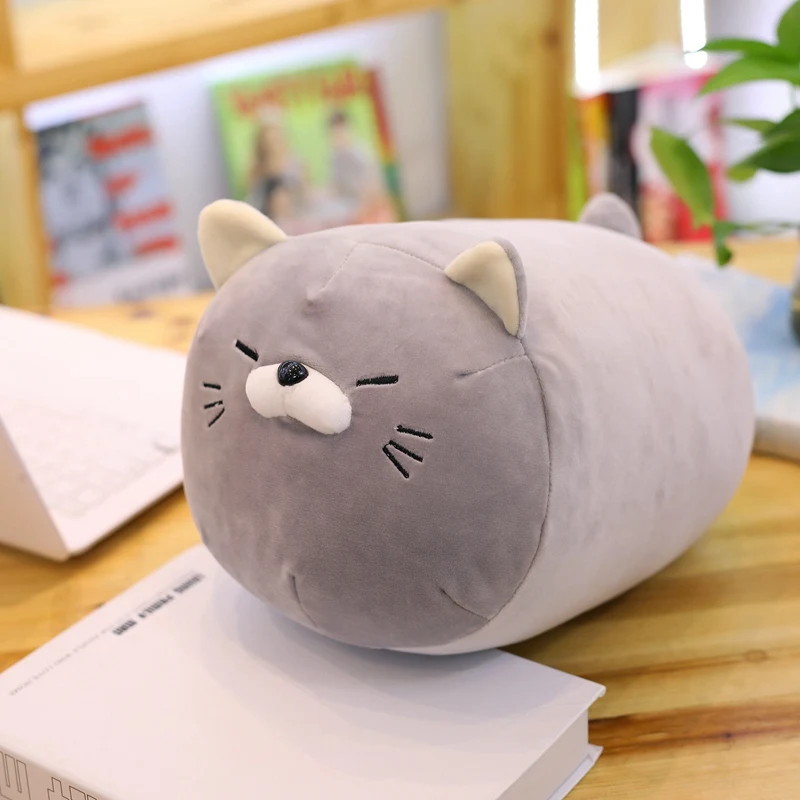 Grey cat