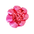 D Pink