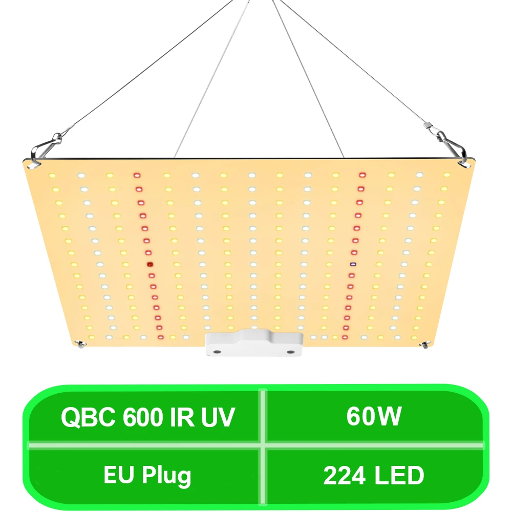 QBC 600 IR UV