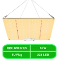 QBC 600 IR UV