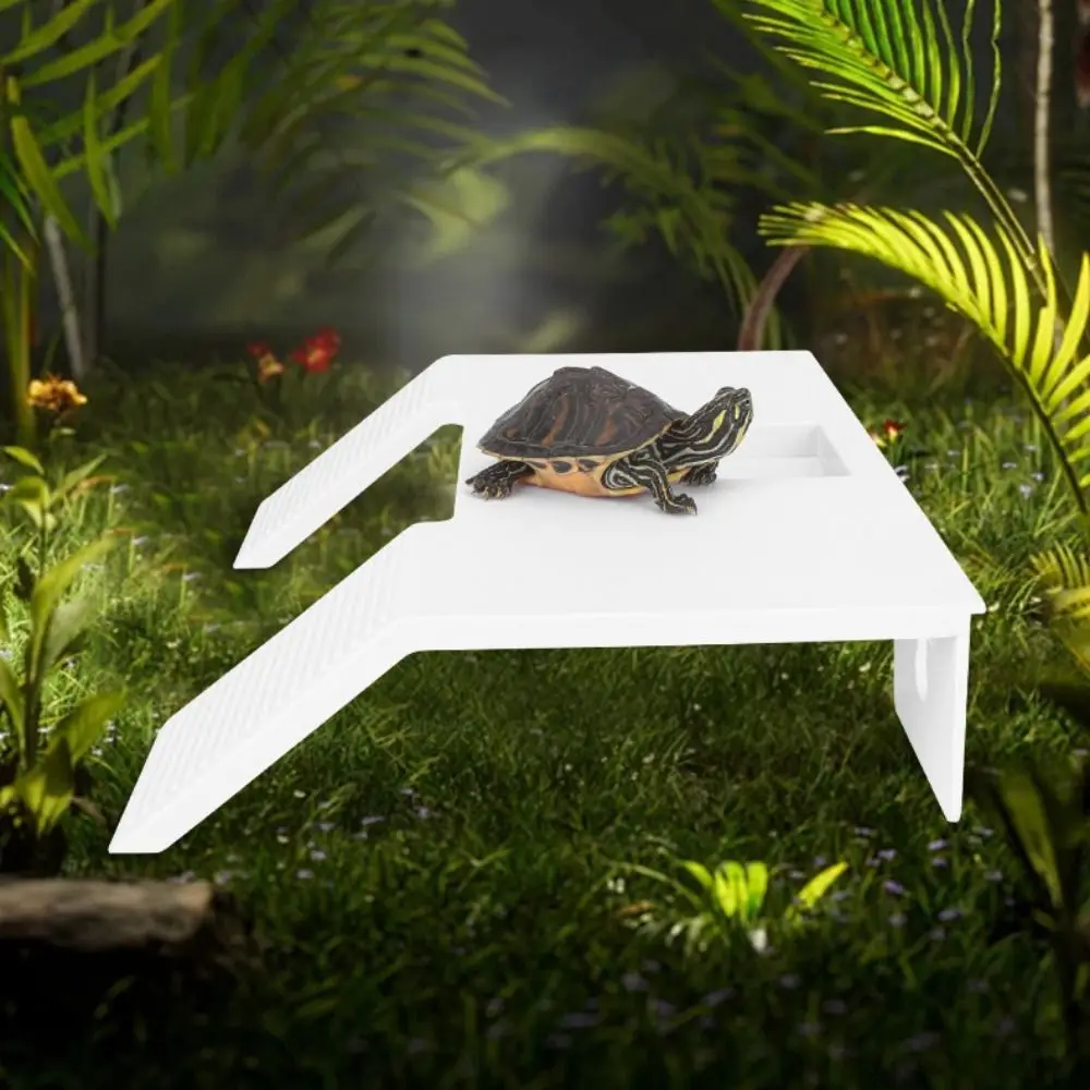 Plastic Turtle Basking Platform with Suction Cup Double Ladder Turtle ...
