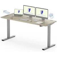 One-Piece Standing Desk 60 x 24 Inches Height Adjustable Electric Desk 2