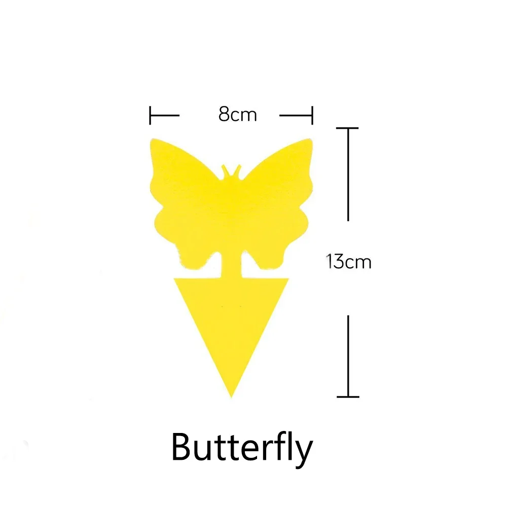 Farfalla