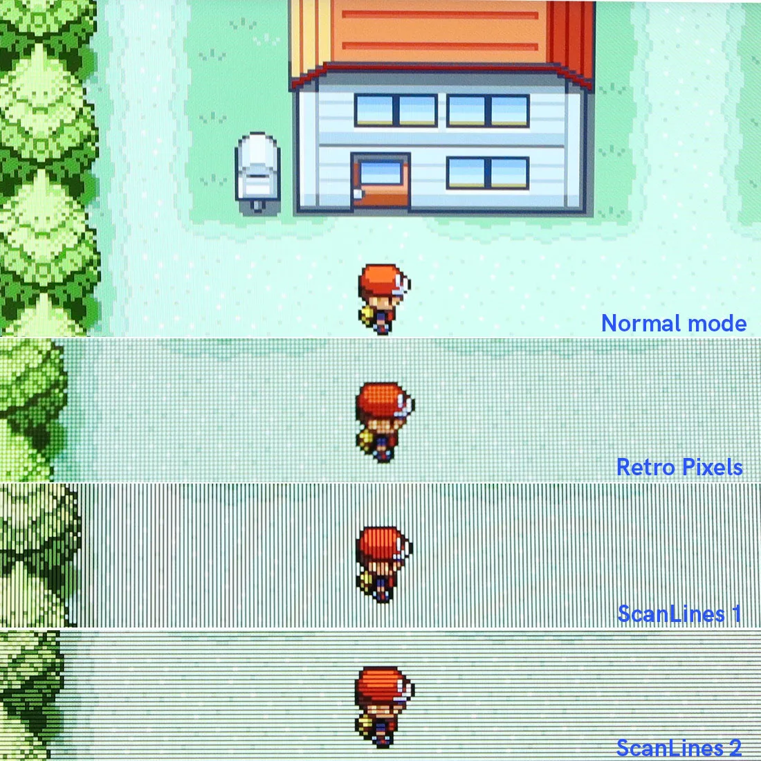 Fotos de pika grande