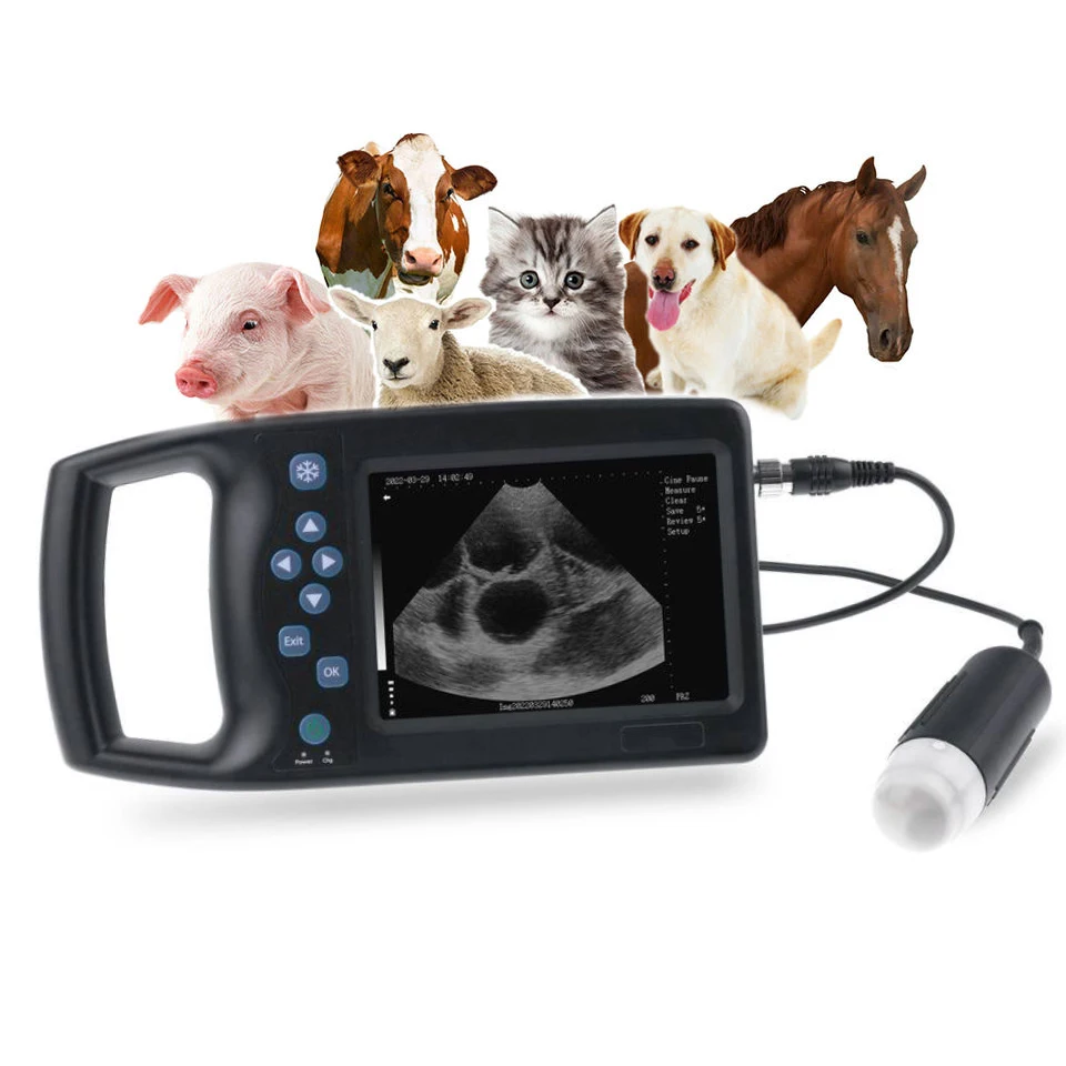 

RS Veterinary Handheld Ultrasound Scanner Mechanical Scanning Full Digital Diagnostic Equipment with probe