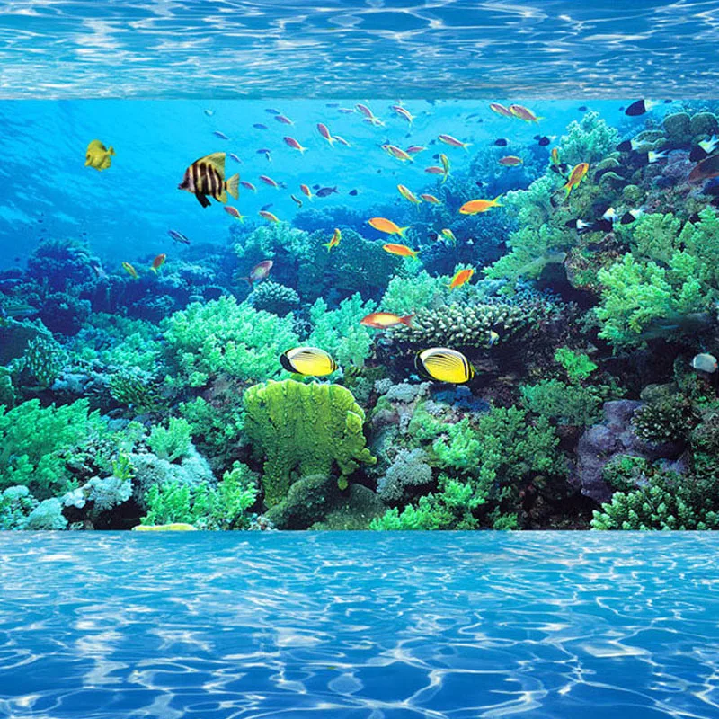 renovacao da casa 03