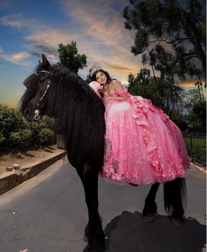 Glitter Cathedral Train Princess Quinceanera Dressy Dreamy One Shoulder 3D Floral Applique Sweetheart A-Line Prom платье Custom