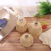 Glasses Rattan Vases,Flower Nordic Style Modern Decorative Vases Desktop Decor Vase for Home Living Room Decor Room Decoration 2