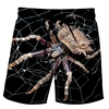 Funny Duck Graphic Beach Shorts for Men 3D Print Animal Board Shorts Sports Gym Swim Trunks Swimsuit homme Cool Ice Shorts Pants 4