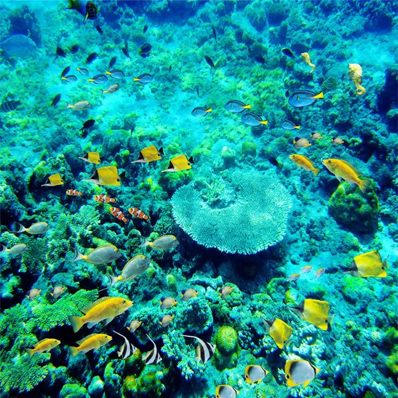 etiqueta personalizada do assoalho 3d pinturas murais 03