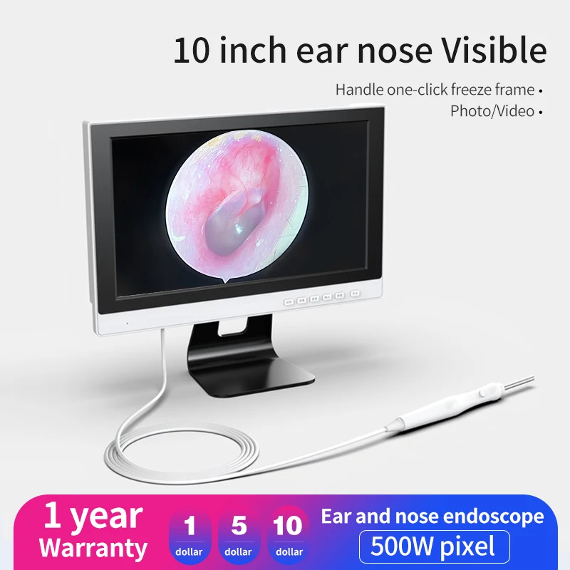 New Product Visual Endoscope 3.9mm 10-Inch Visual ENT Ultra-clear Screen Can Take Pictures And Record Cryogenic Lens Endoscope