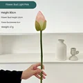 Flower bud lightpink