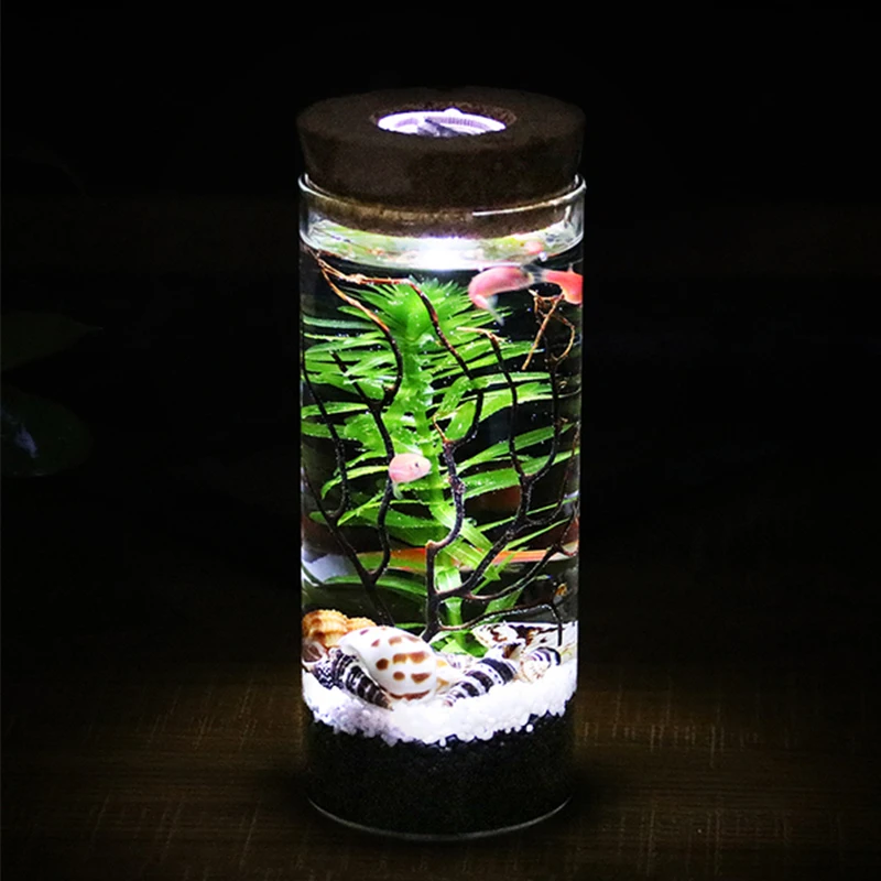 Mini Beta Fish Tank Aquarium Bottles 5
