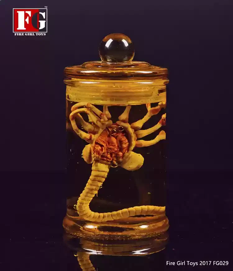 1/6 Scale Predator Alien Facehugger - Action Figure Zubehör Mit Glas Tank